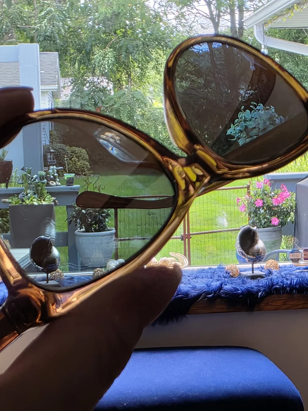 Maui Jim Glory Glory 56-17-145 Authentic Maui Jim Glory Glory New